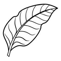 Banana leaf outline coloring book page line art drawing