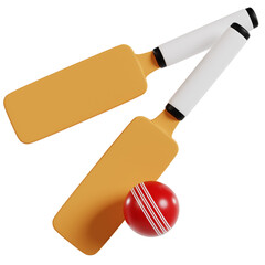 Cricket Game Essentials: Sport