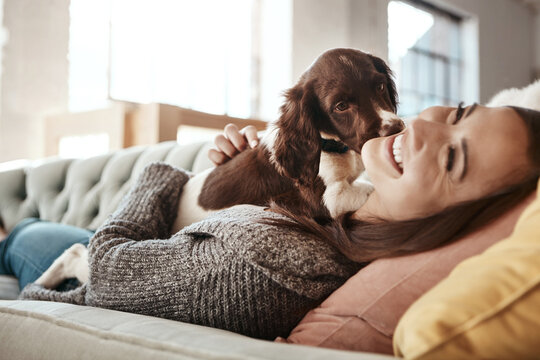 Smile, relaxing and woman with dog on sofa bonding with pet in living room at apartment. Happy, animal and female person cuddle, hug and embrace puppy with love and care on couch in lounge at home.
