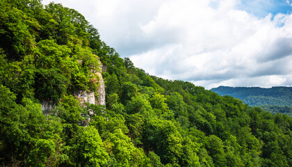 Obraz premium View of a beautiful mountainous area. Sunny afternoon. Beautiful spring landscape in the mountains. Rocks and dense forest.