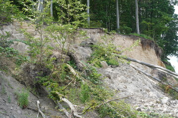 Abbruch am Brodtener Steilufer an der Lübecker Bucht