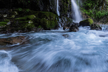 Fototapeta premium 美しい滝のある風景