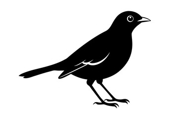 myna silhouette vector illustration