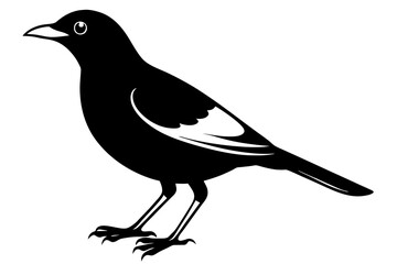 myna silhouette vector illustration