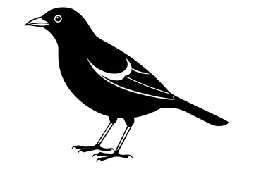 myna silhouette vector illustration