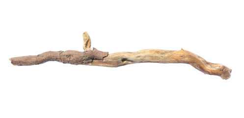Old dry tree branch isolated on white, top view