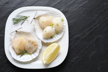 Raw scallops with green onion, rosemary, lemon and shells on dark textured table, top view. Space for text