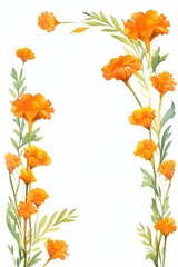 marigold themed frame or border for photos . with orange and yellow blooms. watercolor illustration, white color background. Botanical border for wallpaper or wrapping.