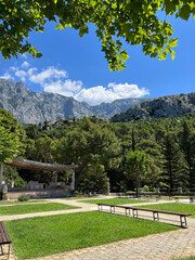 Mountains and forest