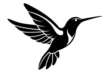 humming bird vector illustration