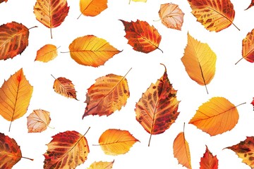 Fototapeta premium autumn leaves illustration in brown tones