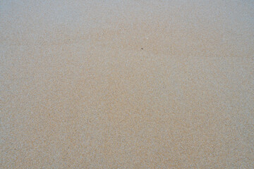 Sand texture Sand beach as a background