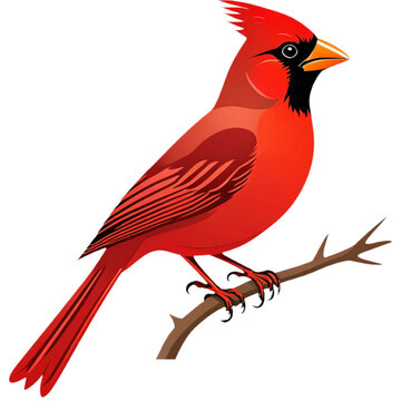 recommend clip art: A red charming cardinal bird