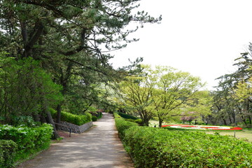 Obraz premium 寺尾中央公園（新潟県）