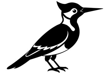 woodpecker bird logo vector illustration