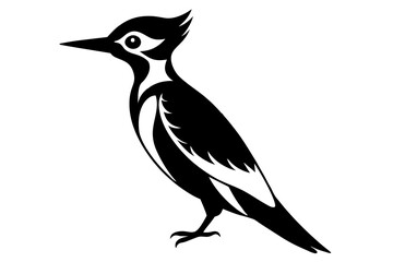 woodpecker bird logo vector illustration