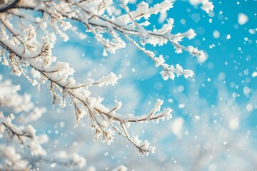 The wonderful image depicts branches of a bush or tree covered with hoarfrost against a white and sparkling background with bluish shadows.