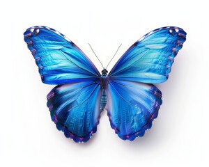 Obraz premium Isolated on a transparent background, this blue butterfly has spread wings.