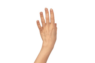 Woman hands  isolated on a white background. Nude nail polish.