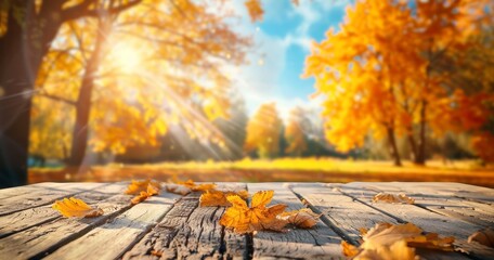 Planks of wood against a backdrop of trees in an autumn park. Arrangement of wooden planks for presentation.