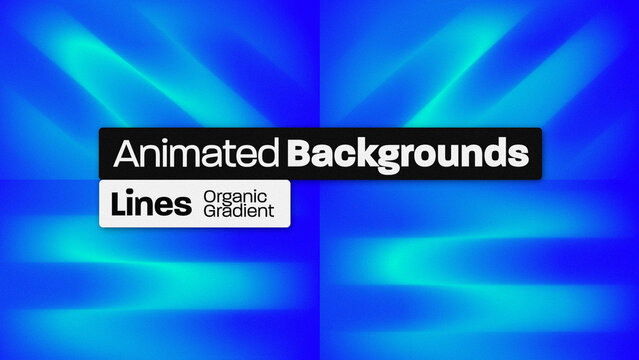 Lines Organic Gradient Animated Backgrounds 014 