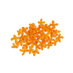 キンモクセイ イラスト リアル 白バック