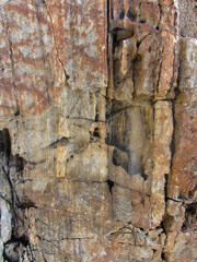 texture of the stone