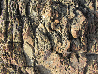 texture of the stone