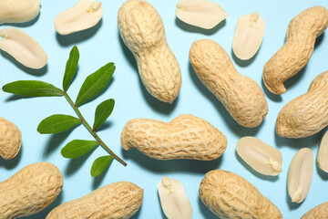 Fresh peanuts and twig on light blue background, flat lay