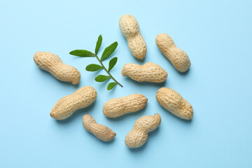 Fresh unpeeled peanuts and twig on light blue background, flat lay