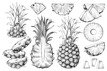 Set of hand drawn pineapples