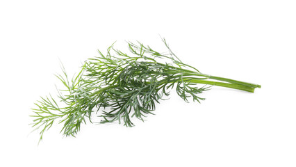 Fresh green dill branches isolated on white