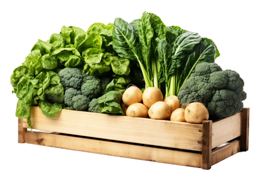 Pine box , vegetables. Pine box full of colorful fresh vegetables  on a white background, ideal for a balanced diet, contains broccoli,  peppers, , lettuce, Farm vegetables, organic food, 