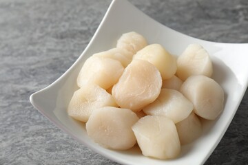 Fresh raw scallops in bowl on grey table, closeup