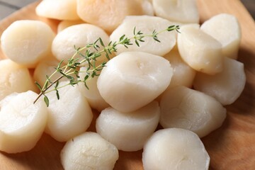 Fresh raw scallops and thyme on plate, closeup