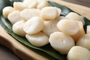 Fresh raw scallops on wooden table, closeup
