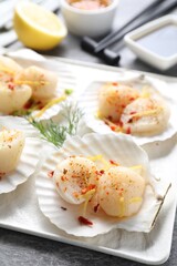 Raw scallops with spices, dill, lemon zest and shells on grey marble table, closeup
