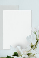 White sweet pea flower on a card mockup