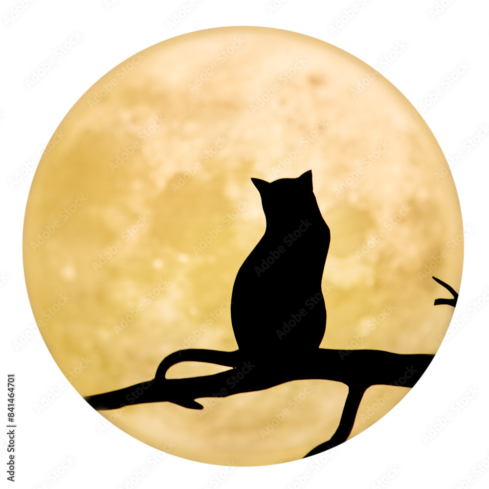 Wall mural Cat silhouette png sticker, full moon cut out, transparent background