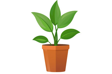 Fototapeta premium Plant in a pot isolated on transparent background
