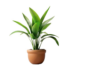 Fototapeta premium Plant in a pot isolated on transparent background