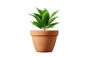 Obraz premium Plant in a pot isolated on transparent background