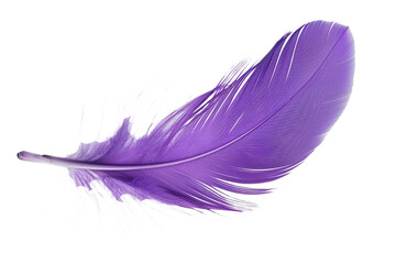 Purple feather isolated on transparent background