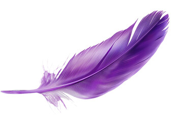 Purple feather isolated on transparent background
