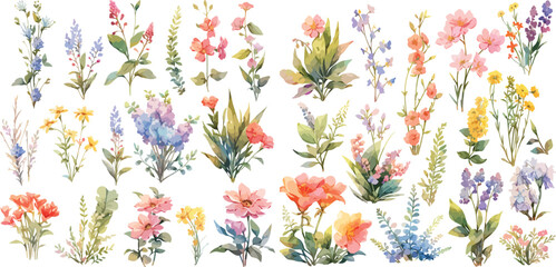 wildflower clipart vector for graphic resources	