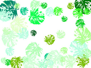 eco concept. top view. flat lay.