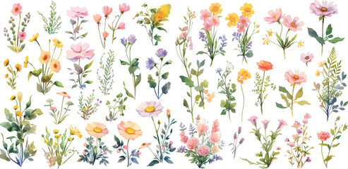 wildflower clipart vector for graphic resources	
