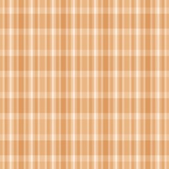 Autumn and falls color design plaid pattern 