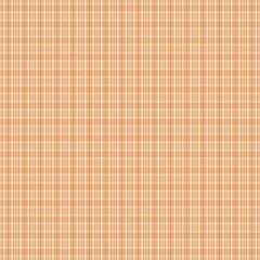 Autumn and falls color design plaid pattern 