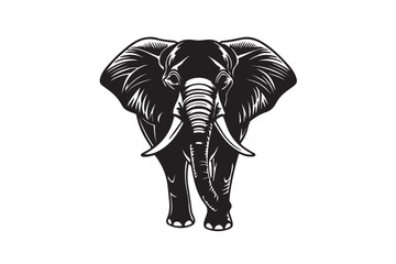  Elephant vector art